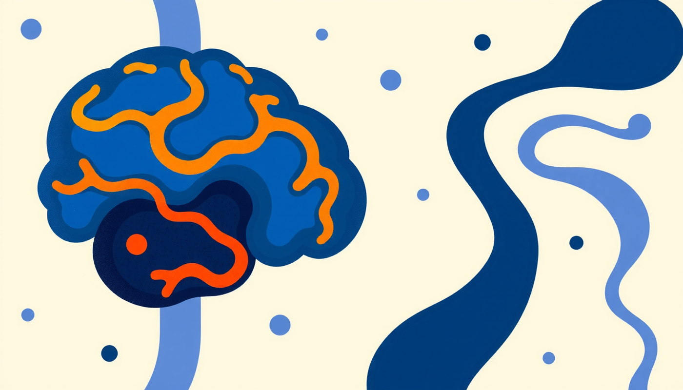 Amígdala y vías dopaminérgicas en el aprendizaje emocional y curioso.