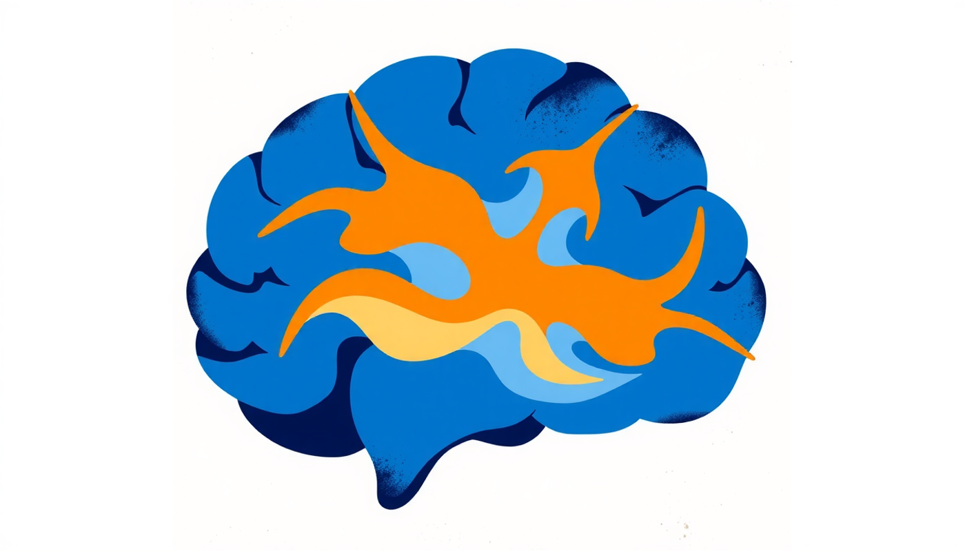 Élégante représentation anatomique du flux d'information dans l'hippocampe.