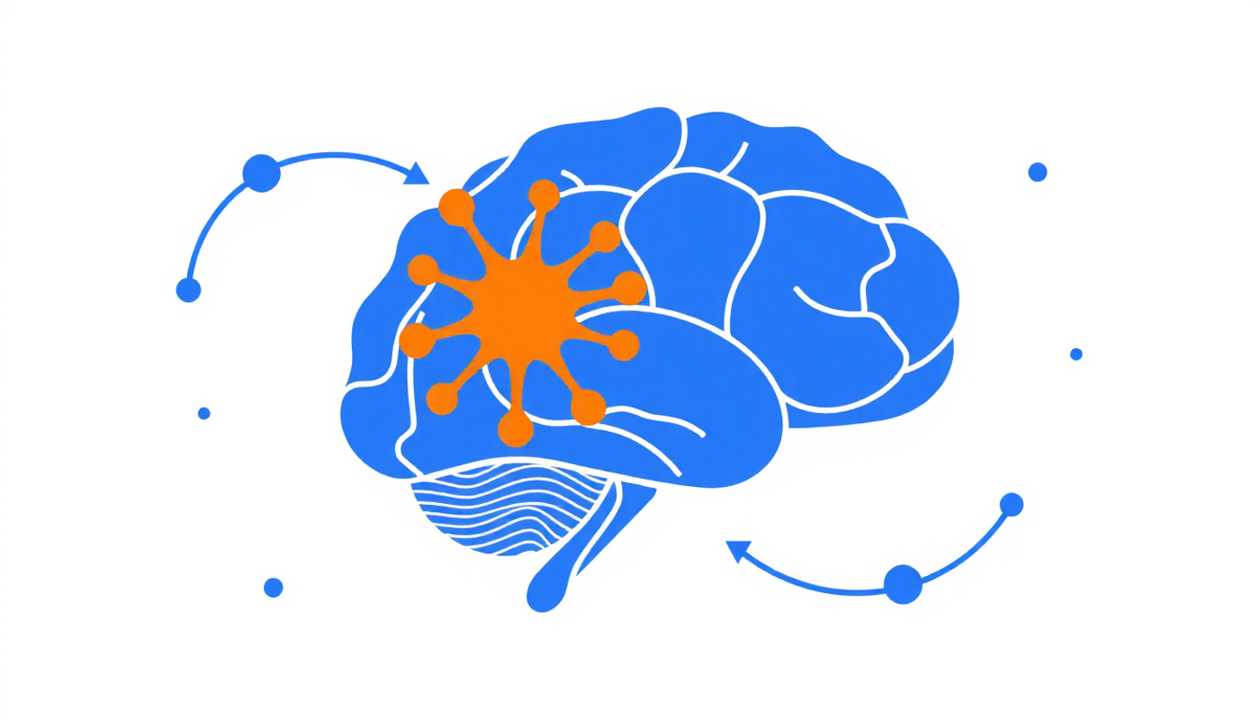 تحکیم حافظه در خواب و فعالیت هیپوکامپ و نئوکورتکس
