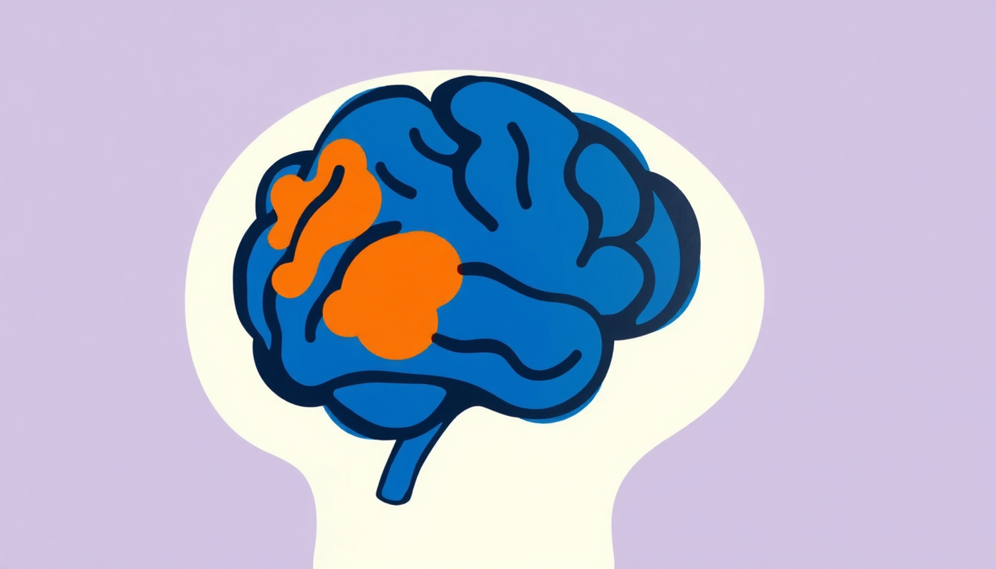 تاکسی‌رانان لندن و تأثیر یادگیری بر ساختار مغز آنها