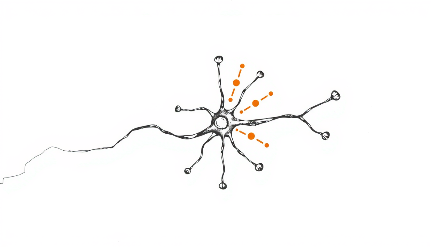 Molekulare Effekte von Rac1 und Dopamin auf Lernen und Vergessen.